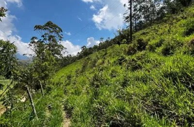 Terreno à venda, 503 m² por r$ 70.000,00 - salinas - nova friburgo/rj