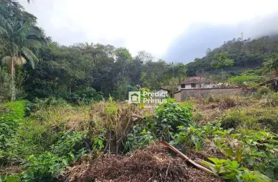 Terreno à venda, 11632 m² por r$ 850.000,00 - são pedro da serra - nova friburgo/rj
