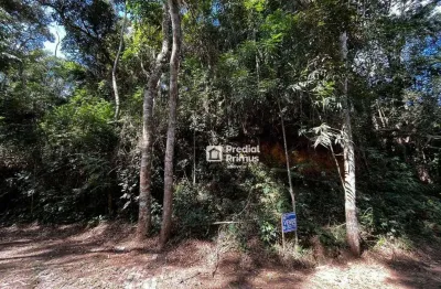 Terreno à venda, 973 m² por r$ 200.000,00 - ponte da saudade - nova friburgo/rj