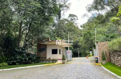 Terreno à venda, 998 m² por r$ 348.000 - cônego - nova friburgo/rj