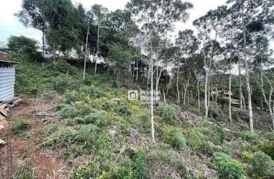 Terreno à venda, 1149 m² por R$ 680.000,00 - Braunes - Nova Friburgo/RJ