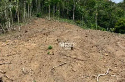 Terreno à venda, 20560 m² por r$ 650.000 - cônego - nova friburgo/rj