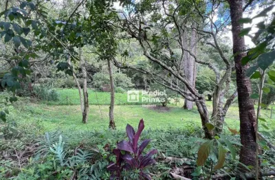 Terreno à venda, 600 m² por r$ 210.000,00 - varginha - nova friburgo/rj