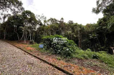 Terreno à venda, 629 m² por r$ 430.000,00 - cônego - nova friburgo/rj