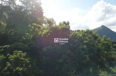 Terreno à venda, 675 m² por r$ 200.000,00 - cascatinha - nova friburgo/rj