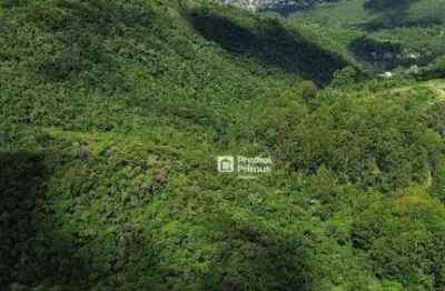 Terreno à venda, 367525 m² por r$ 2.600.000,00 - caledônia - nova friburgo/rj