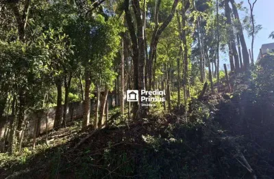 Terreno à venda, 489 m² por r$ 190.000,00 - mury - nova friburgo/rj