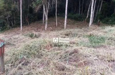 Terreno à venda, 428 m² por r$ 300.000,00 - braunes - nova friburgo/rj