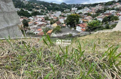 Terreno à venda, 780 m² por r$ 800.000,00 - braunes - nova friburgo/rj