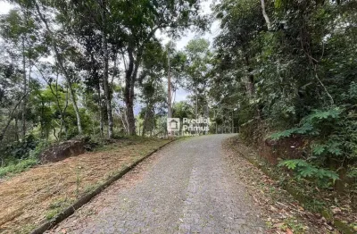 Terreno à venda, 480 m² por r$ 300.000,00 - cônego - nova friburgo/rj