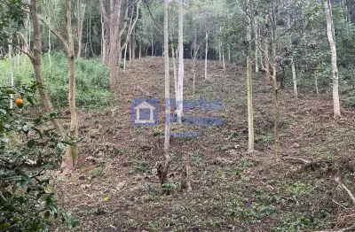 Terreno à venda, 1533 m² por r$ 200.000,00 - parque dom joão vi - nova friburgo/rj