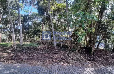 Terreno à venda, 480 m² por r$ 200.000,00 - vargem grande - nova friburgo/rj