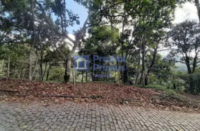 Oportunidade única - terreno à venda, 395 m² por r$ 200.000 - vargem grande, cônego - nova friburgo