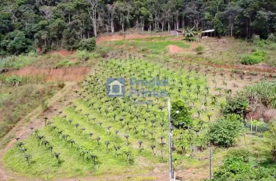 Chácara à venda, 20000 m² por r$ 1.100.000,00 - varginha - nova friburgo/rj