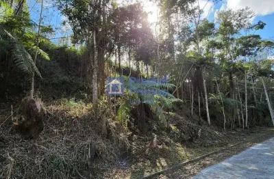Terreno à venda, 640 m² por r$ 168.000,00 - parque são clemente - nova friburgo/rj