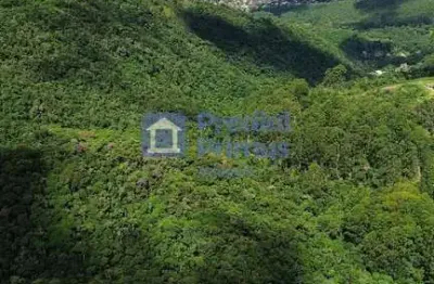Terreno à venda, 367525 m² por r$ 2.600.000,00 - caledônia - nova friburgo/rj