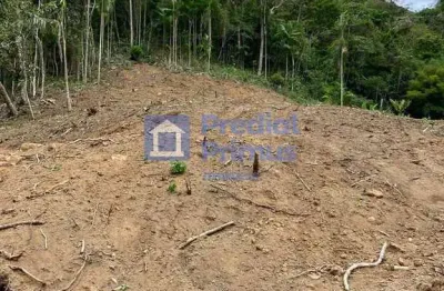 Terreno à venda, 20560 m² por r$ 650.000 - cônego - nova friburgo/rj