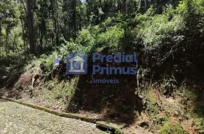 Terreno à venda, 956 m² por r$ 330.000,00 - cônego - nova friburgo/rj