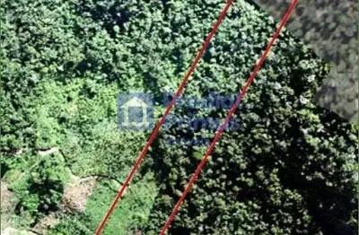 Refúgio exclusivo na mata atlântica – terreno em benfica, são pedro da serra