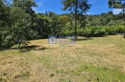 Terreno à venda, 2811 m² por r$ 280.000,00 - mury - nova friburgo/rj