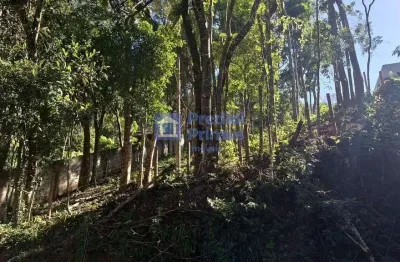Terreno à venda, 489 m² por r$ 190.000,00 - mury - nova friburgo/rj