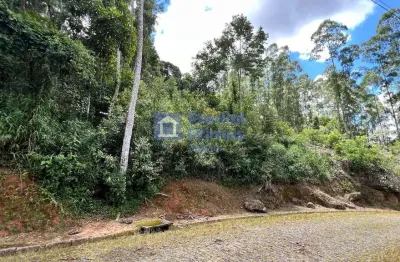Terreno à venda, 998 m² por r$ 348.000 - cônego - nova friburgo/rj