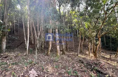 Terreno à venda na Rua Manoel Pereira Ferro, 156, Ponte da Saudade, Nova Friburgo