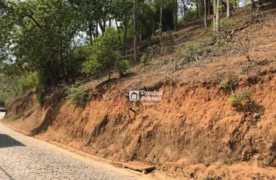 Terreno à venda, 6806 m² por r$ 850.000,00 - jardim ornelas - bom jardim/rj