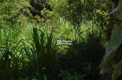 Terreno à venda, 600 m² por r$ 218.000,00 - varginha - nova friburgo/rj