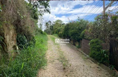 Terreno à venda, 6100 m² por r$ 1.100.000,00 - chácara paraíso - nova friburgo/rj