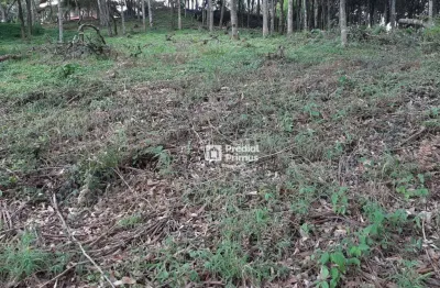 Terreno à venda, 452 m² por r$ 200.000,00 - vargem grande - nova friburgo/rj