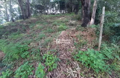 Terreno à venda, 423 m² por r$ 200.000,00 - vargem grande - nova friburgo/rj