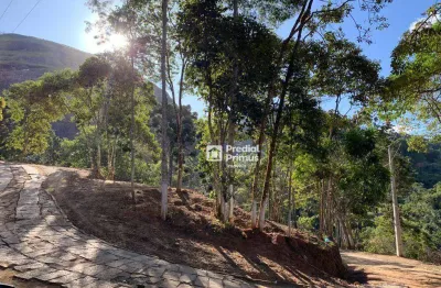 Terreno à venda, 1600 m² por r$ 159.000,00 - córrego d antas - nova friburgo/rj