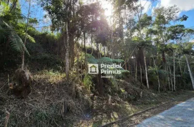 Terreno à venda, 640 m² por r$ 168.000,00 - parque são clemente - nova friburgo/rj