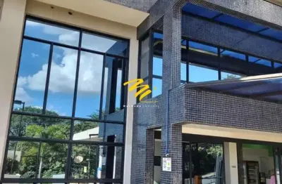 Sala para alugar em campinas, jardim chapadão, com 33 m², due uficcio