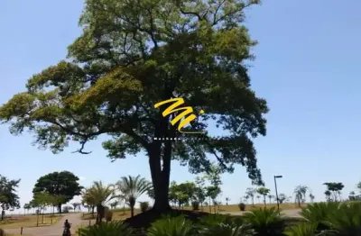 Terreno à venda em jaguariúna, residencial haras patente, com 1016.9 m²