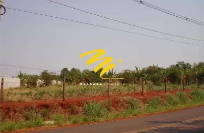 Terreno à venda na Avenida Constante Pavan, 1659, Betel, Paulínia