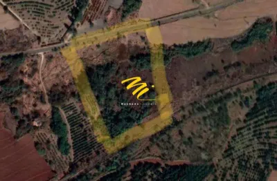 Terreno à venda em Mogi Mirim, Distrito Industrial I José Marangoni, com 46588 m²