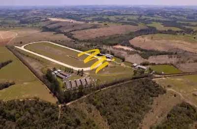 Haras à venda em porto feliz, avecuia do alto, com 21.43 alqueires
