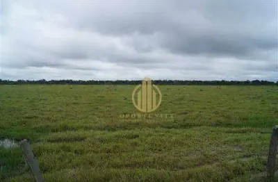 Fazenda em são miguel do araguaia à venda,  - centro - são miguel do araguaia/go