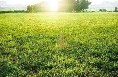 Terrenos misto à venda, 875 m² por r$ 850.000 - ribeirânia - ribeirão preto/sp