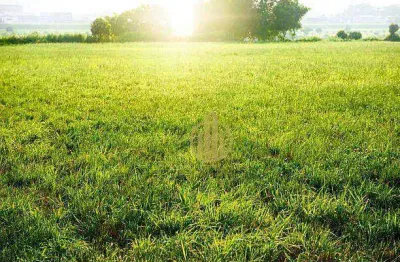 Terreno à venda, 382 m² por r$ 250.000 - parque das oliveiras - ribeirão preto/sp