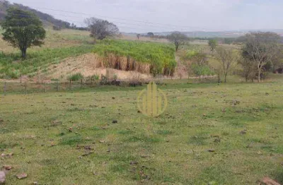 Fazenda com 3 dormitórios à venda, 157300 m² por r$ 1.650.000,00 - sao simao - são simão/sp