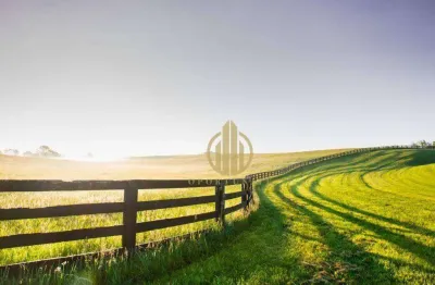 Fazenda à venda, 605000 m² por r$ 6.000.000,00 - zona rural - patrocínio paulista/sp
