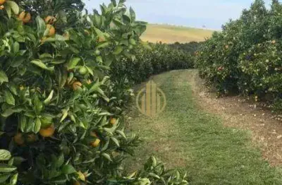 Fazenda à venda, 7986000 m² por r$ 120.000.000,00 - centro - botucatu/sp