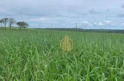 Fazenda à venda, 18000000 m² por r$ 35.000.000 - zona rural - barra do garças/mt