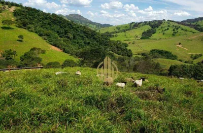 Área  para lazer e ou cultivo venda, 730000 m² por r$ 4.000.000 - zona rural - capitólio/mg