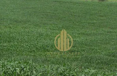 Terreno à venda, 250 m² por r$ 206.700,00 - bonfim paulista - ribeirão preto/sp