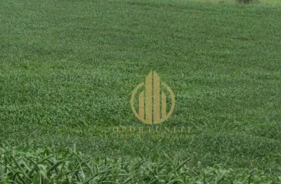 Terreno à venda, 364 m² por r$ 535.000 - vila do golf - ribeirão preto/sp