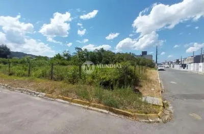 Terreno para venda no bairro santa regina, santa regina, camboriú - sc
